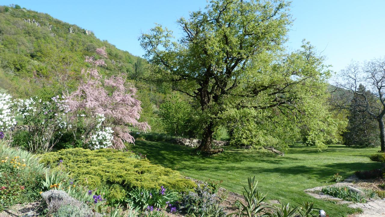 Logis Hotel-Restaurant La Mere Biquette Saint-Pons  المظهر الخارجي الصورة