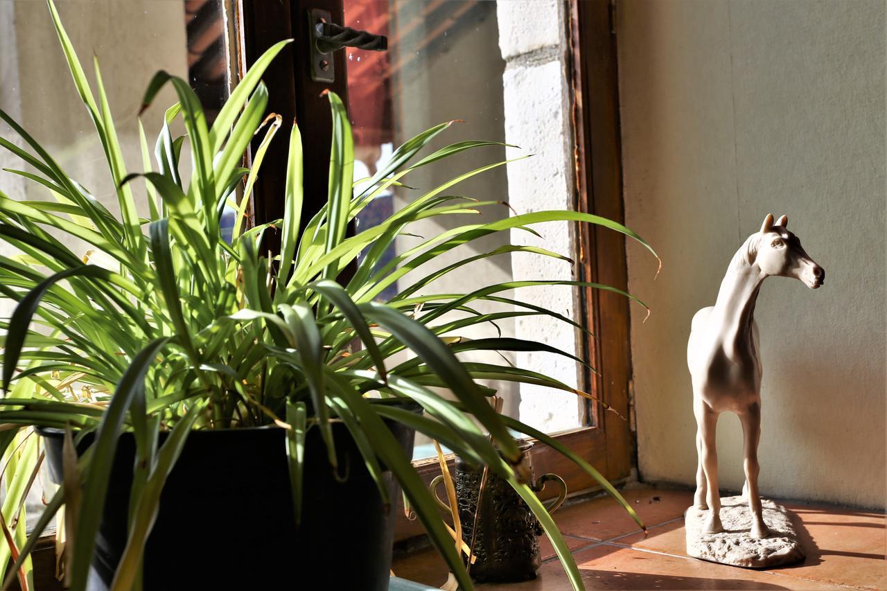 Logis Hotel-Restaurant La Mere Biquette Saint-Pons  المظهر الخارجي الصورة